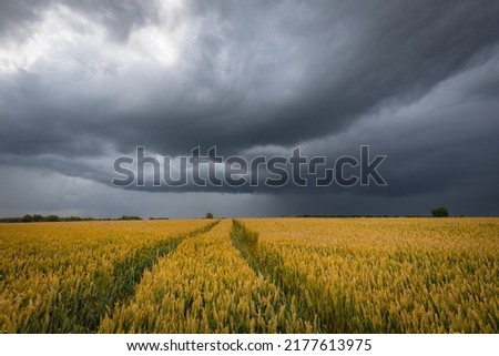 Similar – Foto Bild Sturmwolken über einem goldenen Kornfeld.