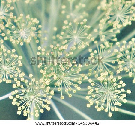 Similar – Image, Stock Photo yellow flower macro shot bouquet of flowers