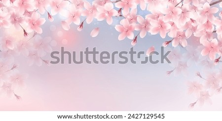 Cherry Blossoms Spring Petals Background