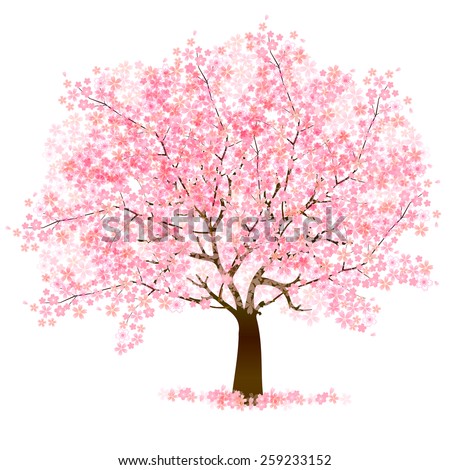 Cherry Blossom Tree Vector 