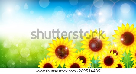 Sunflower flower background