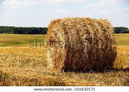 bales of hay on the field /hay rolls in the farm field