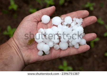 Similar – Foto Bild Hagel in einem Schutznetz über Gemüsepflanzen