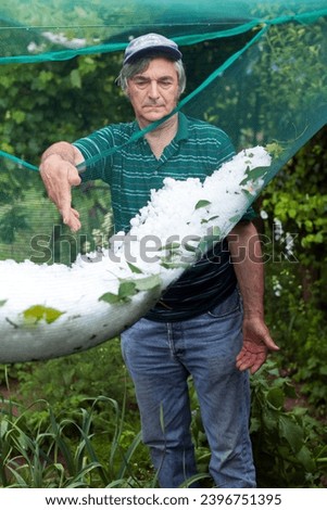 Similar – Foto Bild Hagel in einem Schutznetz über Gemüsepflanzen