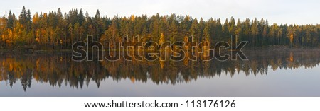 coast of the wood lake in the autumn