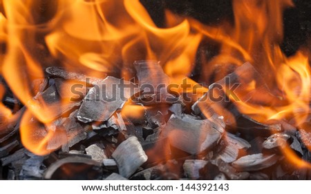 burning wood in a brazier close up
