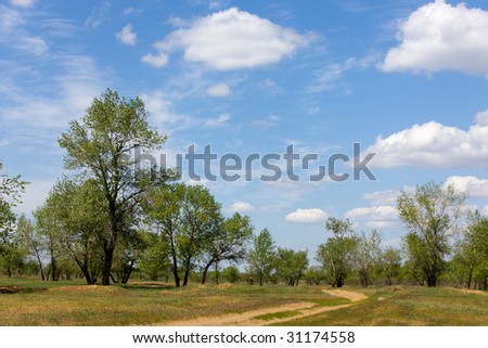 Spring sunny landscape in flood plain of river