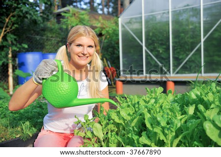 Picture of a young cute woman gardener smiling waterin a salate plants with a greenhouse on a background