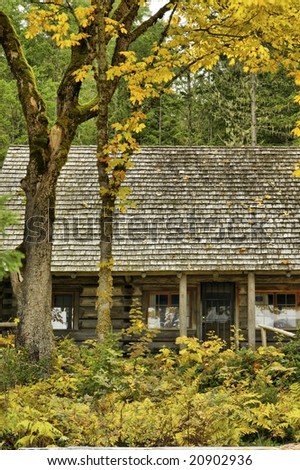 Autumn trees and shrubs turn shades of yellow around a log cabin retreat
