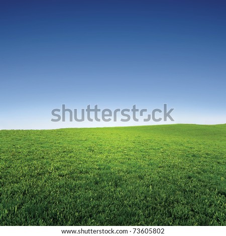 empty grass field