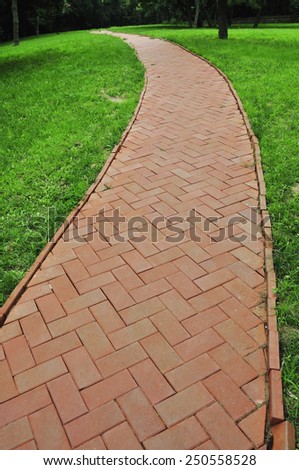 The Walk path in the park with green grass background