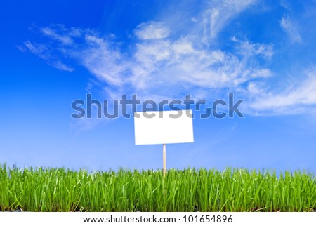 Blank white sing on neatly trimmed green grass against a blue cloudy sky background.