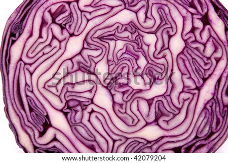 Close-up of a cut red cabbage