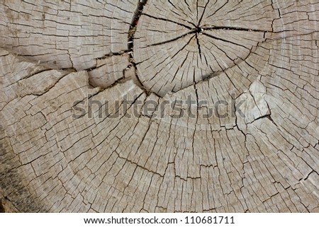 Wooden texture. It is possible to use as background.