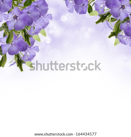 Postcard with fresh flowers. Abstract background for design.