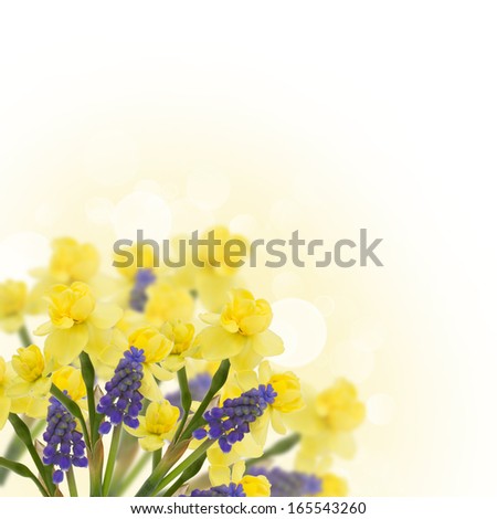 Holiday background with fresh flowers and place for your text. Abstract background for design. Spring background. Floral background.