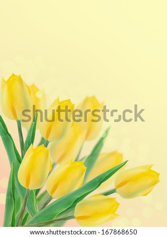 Postcard with fresh flowers  and place for your text. Abstract background for design. Spring background.