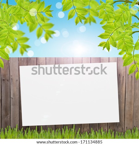 Postcard with fresh foliage  and place for your text. Abstract background for design.
