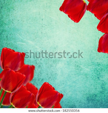 Postcard with fresh flowers tulips on grunge background. Abstract background for design. Spring background. Floral background.