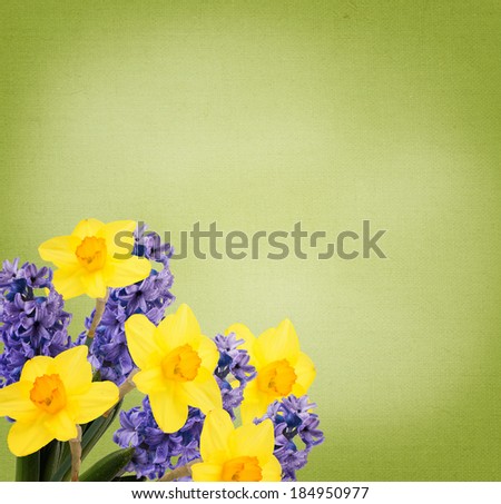 Holiday background with fresh flowers and place for your text. Abstract background for design. Spring background. Floral background.