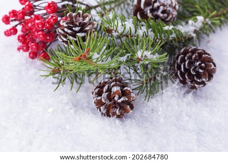 Pine cones, spruce, winter berries in snow. Christmas composition.