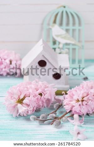 Postcard with fresh pink aromatic hyacinths flowers , willow branches, bird house on aqua wooden background. Selective focus.
