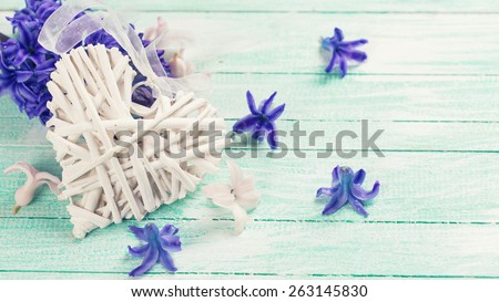 Postcard with decorative heart and fresh spring blue hyacinth  on turquoise painted wooden planks. Selective focus. Place for text. Toned image.