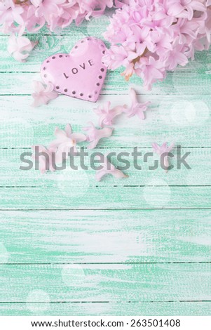 Postcard with fresh flowers hyacinths  and decorative  pink heart on turquoise painted wooden planks. Selective focus. Place for text.