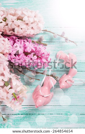 Background with fresh pink hyacinths and decorative birds in ray of light on turquoise  wooden planks. Selective focus.