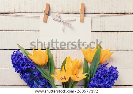 Postcard with fresh  spring yellow tulips, blue hyacinths  flowers  and empty tag on clothe line on white  painted wooden planks. Selective focus. Place for text. Toned image.
