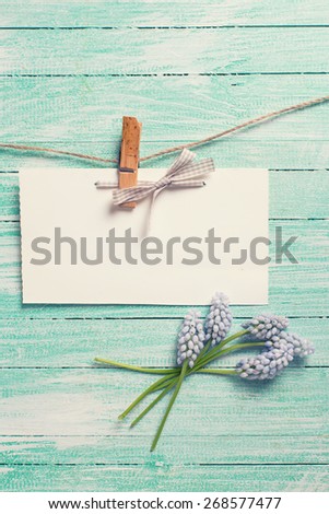Fresh  spring muscaries  and empty tag on clothes line on turquoise  painted wooden planks. Selective focus. Place for text. Toned image.