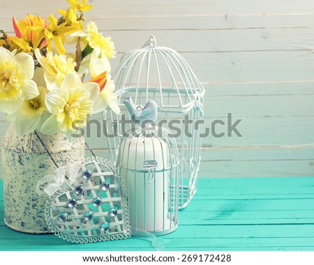 Fresh  spring yellow daffodils flowers, decorative bird cage and heart on turquoise  painted wooden planks against white wall. Selective focus. Place for text. Toned image.