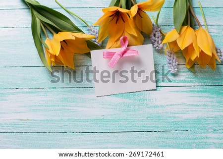 Postcard with fresh  spring yellow tulips, blue myscaries   and empty tag on turquoise  painted wooden background. Selective focus. Place for text.