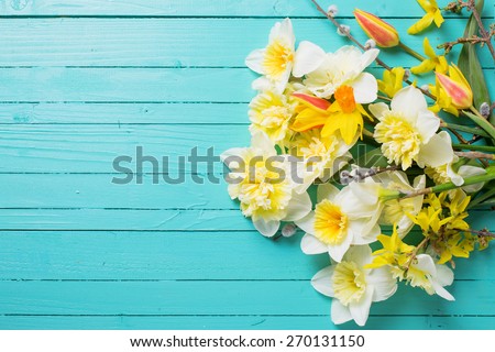 Fresh  spring yellow narcissus, tulips  flowers  on green painted wooden planks. Selective focus. Place for text.
