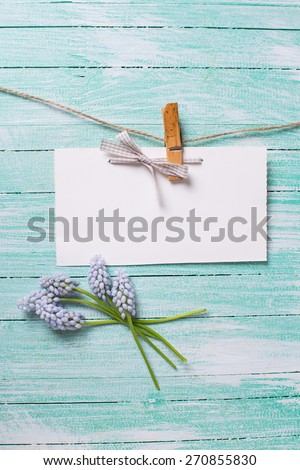 Fresh  spring muscaries  and empty tag on clothes line on turquoise  painted wooden planks. Selective focus. Place for text.
