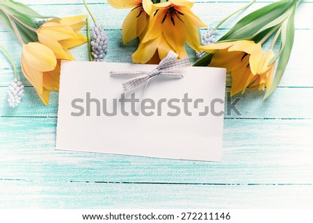 Background  with fresh  spring yellow tulips, blue myscaries flowers  and empty tag on turquoise  painted wooden planks. Selective focus. Place for text.