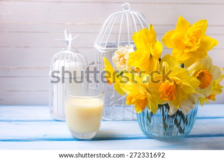 Bright yellow narcissus in vase and candles  on blue  painted wooden planks. Selective focus. Place for text.