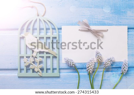 Fresh  spring muscaries, decorative bird cage  and empty tag in ray of light  on blue  painted wooden planks. Selective focus. Place for text.