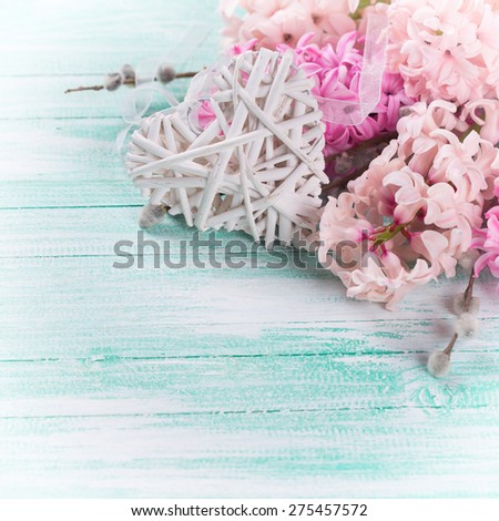 Postcard with fresh pink hyacinths  and  decorative heart  on  turquoise painted wooden background. Selective focus is on heart. Place for text. Square image.