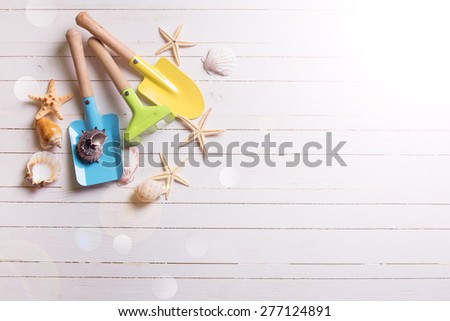 Tools for playing in sand for kids and sea object in ray of light  on white  painted wooden planks. Place for text. Vacation background.