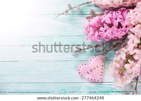 Postcard with fresh pink hyacinths  and  decorative heart in ray of light  on  turquoise painted wooden planks. Selective focus. Place for text.