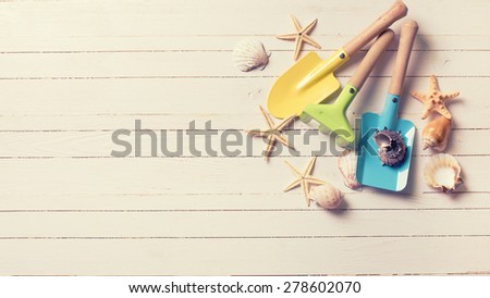 Tools for playing in sand for kids and sea object on white  painted wooden planks. Place for text. Vacation background. Toned image.