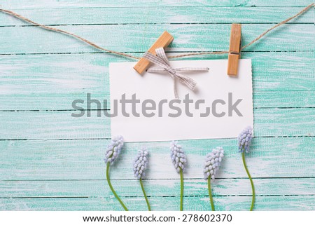 Fresh  spring muscaries  and empty tag on clothes line on turquoise  painted wooden background. Selective focus. Place for text.
