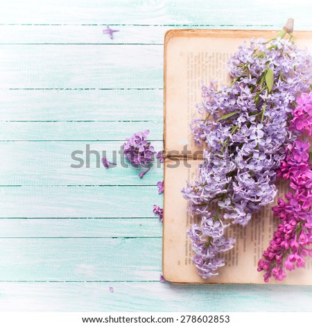 Background  with fresh lilac flowers on open vintage book  on turquoise painted wooden planks. Selective focus. Place for text. Square image.
