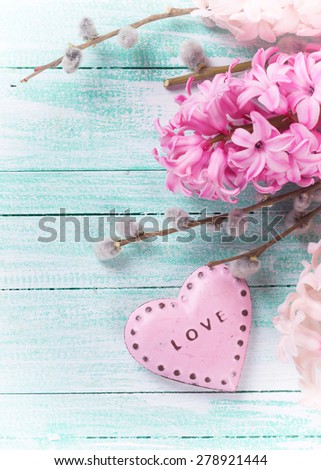 Postcard with fresh pink hyacinths  and  decorative heart  on  turquoise painted wooden planks. Selective focus. Place for text. Toned image.