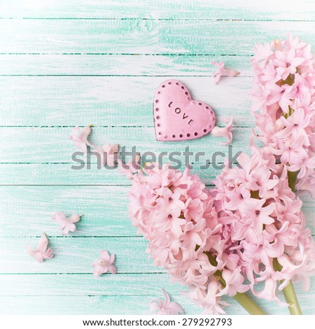 Postcard with fresh flowers hyacinths  and decorative pink  heart on turquoise painted wooden planks. Selective focus. Place for text. Square image.