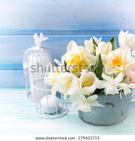 Bright white daffodils and tulips  flowers in bucket, candles on turquoise  painted wooden planks against  blue wall. Selective focus.  Square image.