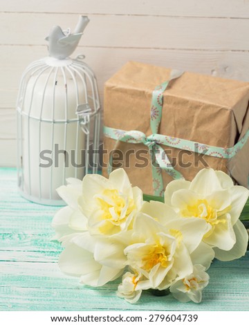 Postcard with fresh  daffodils flowers, candle and gift box on turquoise painted wooden planks. Selective focus. Place for text. Toned image.