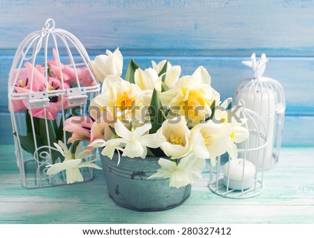 Bright white daffodils and tulips  flowers in bucket, candles on turquoise  painted wooden planks against  blue wall. Selective focus. Toned image.