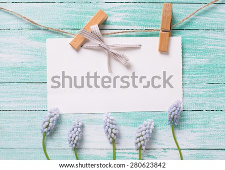 Fresh   blue spring muscaries  and empty tag on clothes line on turquoise  painted wooden background. Selective focus. Place for text.